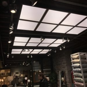 cfc81e665785945c1847a7ffe6ef2110